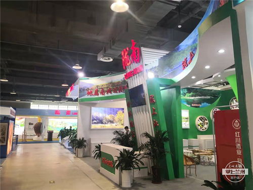 一會一節 絲綢之路文化旅游展覽即將在敦煌舉辦