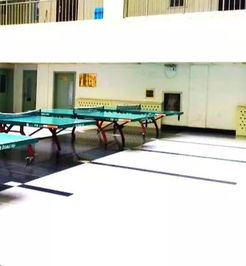 陽光學校太原校區2019屆藝考生文化課招生計劃