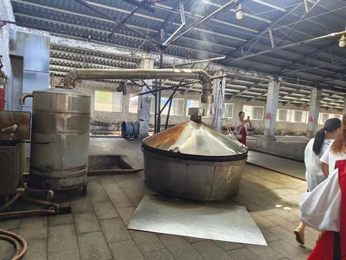 煙臺智匯高新雷鋒志愿者大隊走進 醉 美古釀酒廠 體驗煙臺名片文化